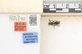 Media type: image;   Entomology 768572 Aspect: Labels